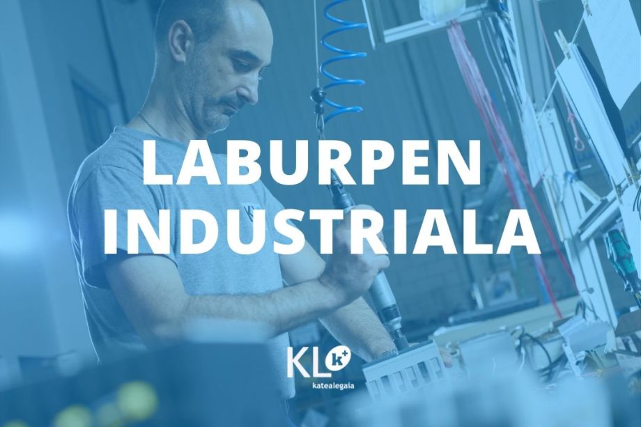 Laburpen industrial motza
